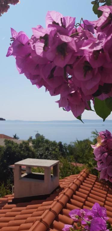 Summer Lounge Apartment Trogir Ngoại thất bức ảnh