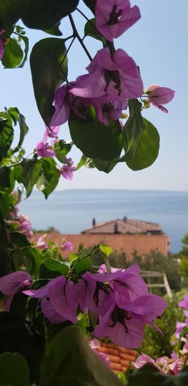 Summer Lounge Apartment Trogir Ngoại thất bức ảnh